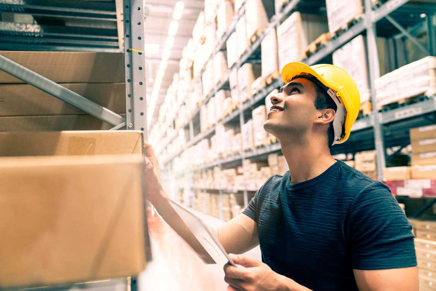 Odoo 19.0 Warehouse | Master RFID and Dispatch Management for smarter trading and distribution